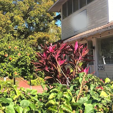 The Hibiscus House Of Fort Myers